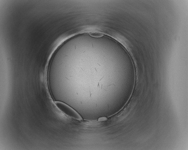 X0000111251392200907021422