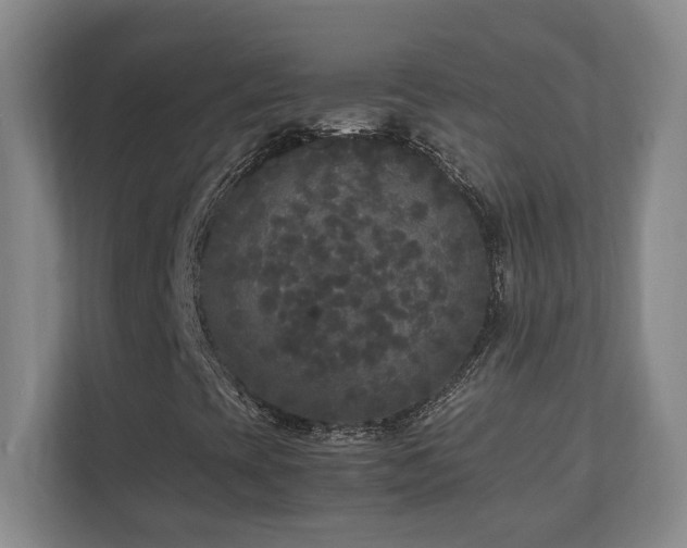 X0000111251393200907021422