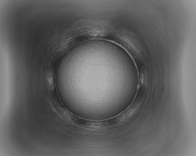 X0000111251396200907021422