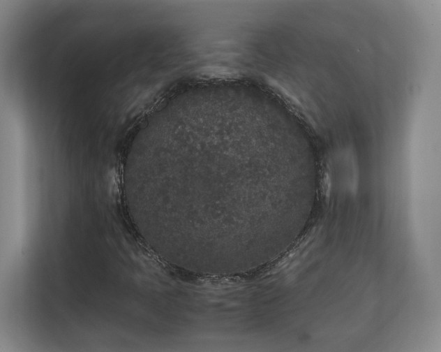 X0000111251397200907021422