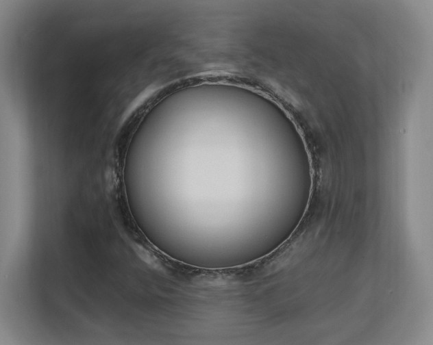 X0000111251400200907021422