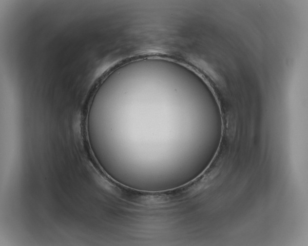 X0000111251404200907021422