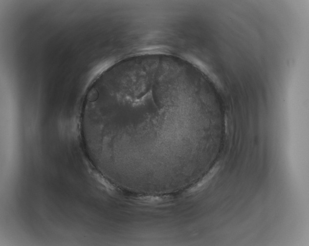 X0000111251405200907021422