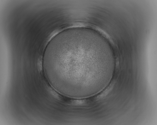 X0000111251409200907021422