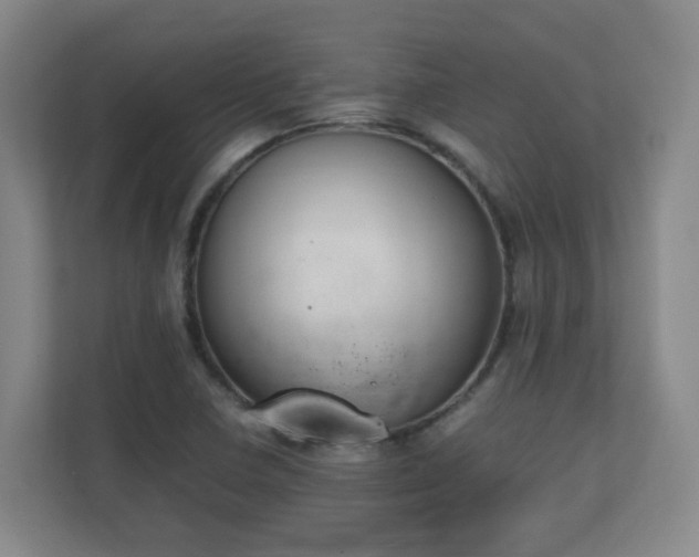 X0000111251410200907021422
