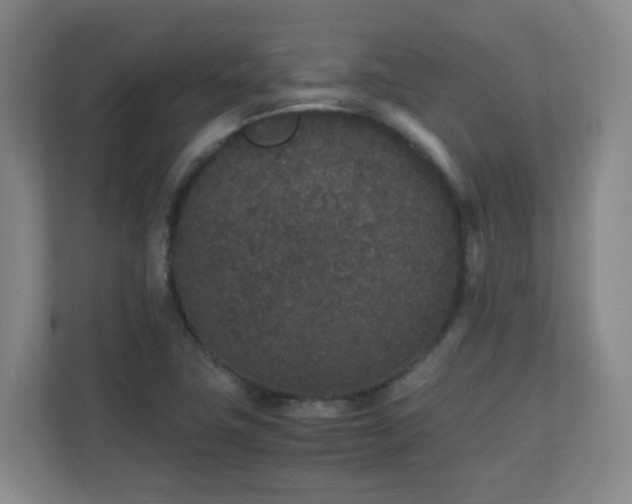 X0000111251411200907021422