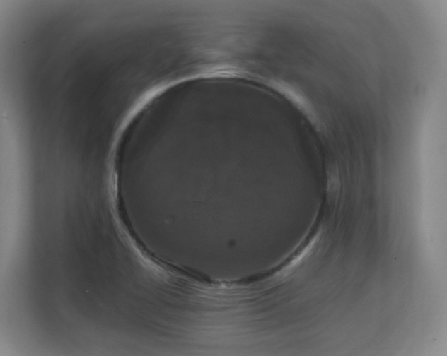 X0000111251414200907021422