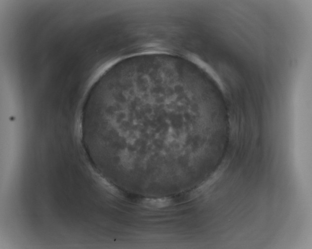 X0000111251415200907021422