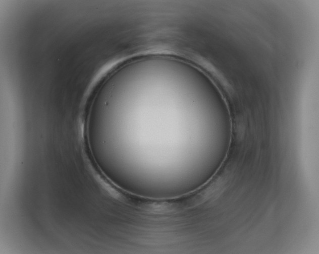 X0000111251416200907021422