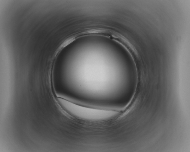 X0000111251417200907021422