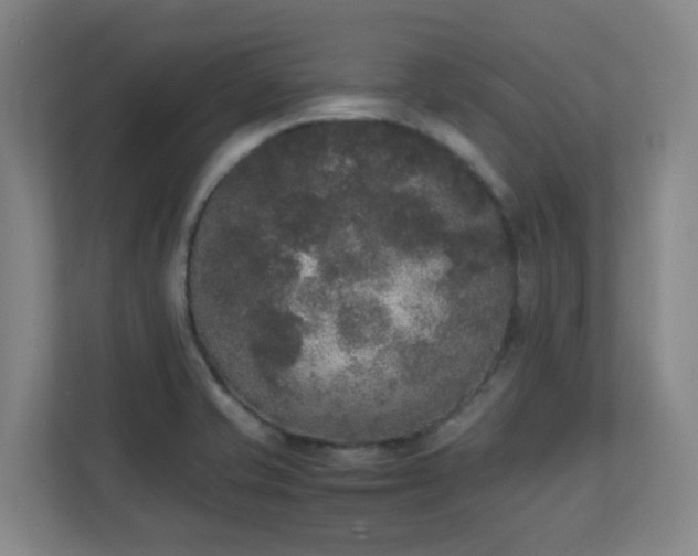 X0000111251421200907021422