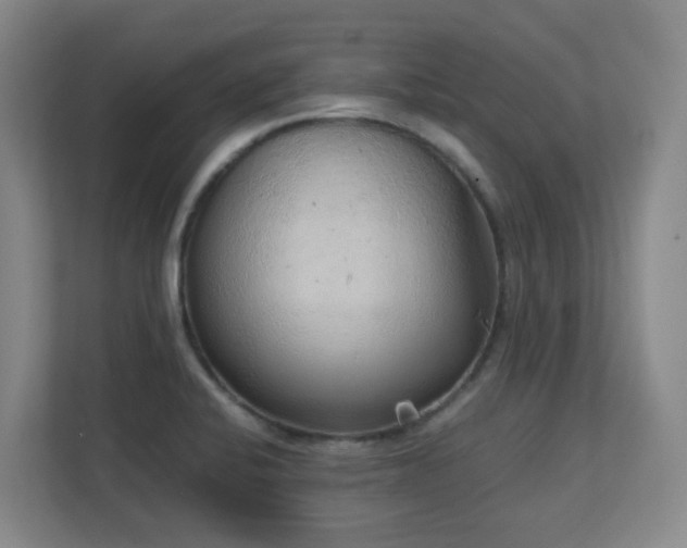 X0000111251424200907021422