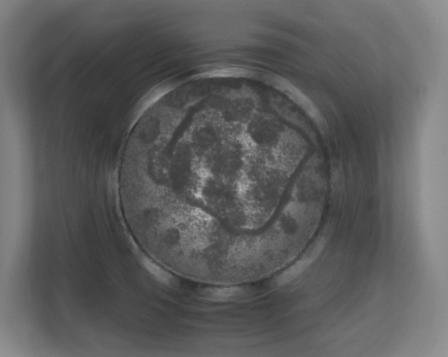 X0000111251425200907021422