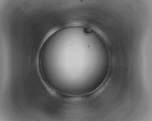 X0000111251426200907021422