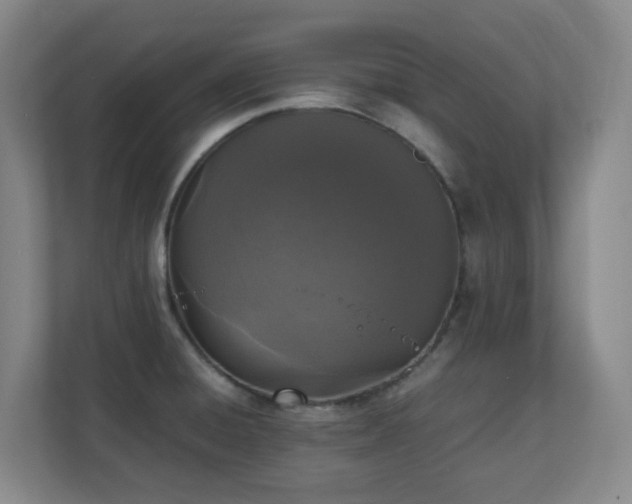 X0000111251428200907021422