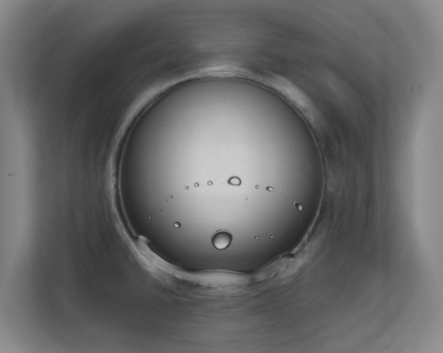 X0000111251430200907021422