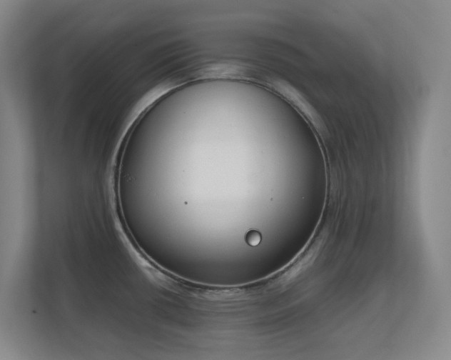 X0000111251434200907021422
