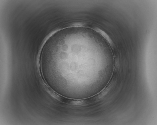 X0000111251435200907021422
