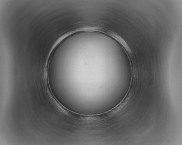 X0000111251436200907021422