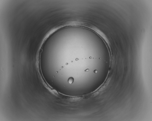 X0000111251437200907021422