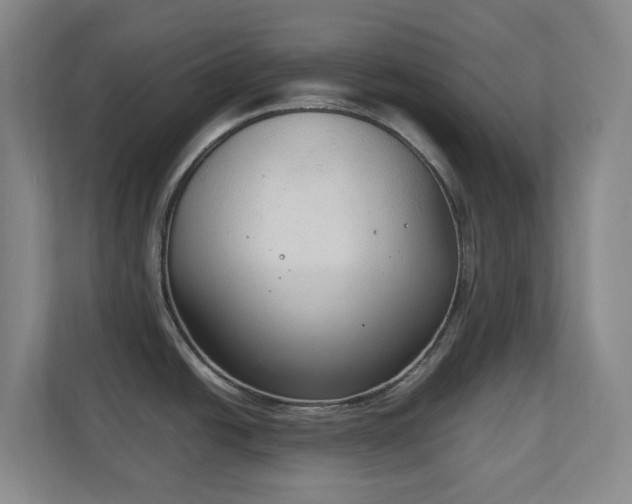 X0000111251438200907021422