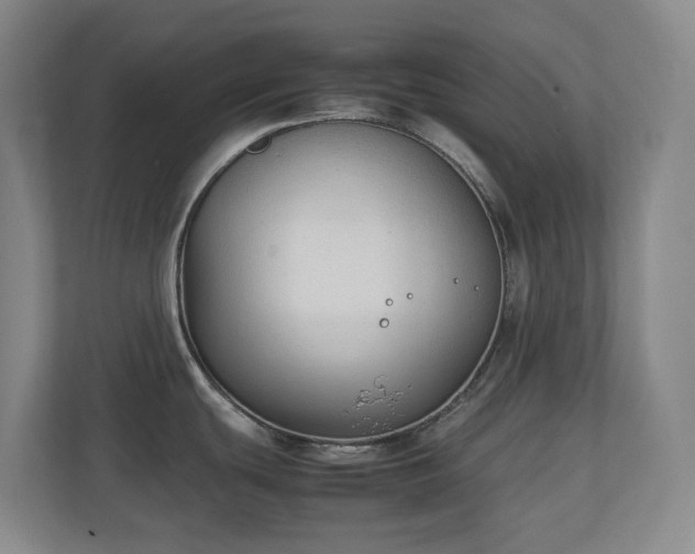 X0000111251439200907021422