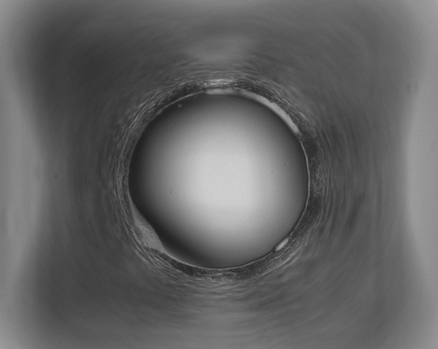 X0000111251441200907021422