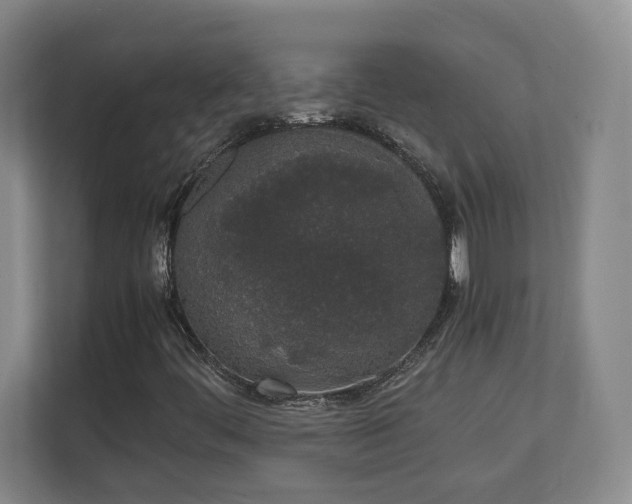 X0000111251444200907021422