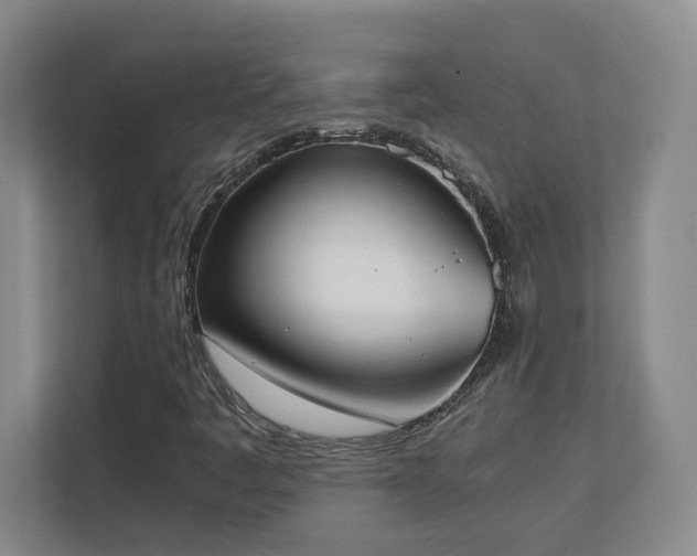 X0000111251445200907021422