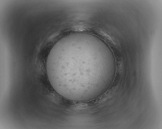 X0000111251446200907021422