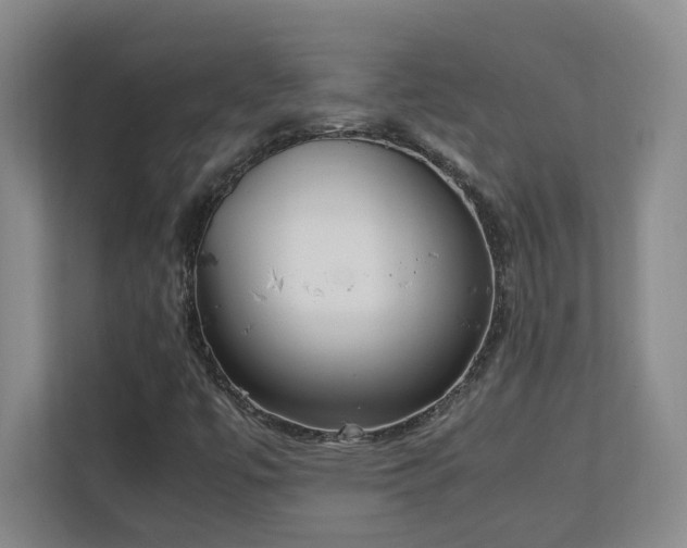 X0000111251447200907021422
