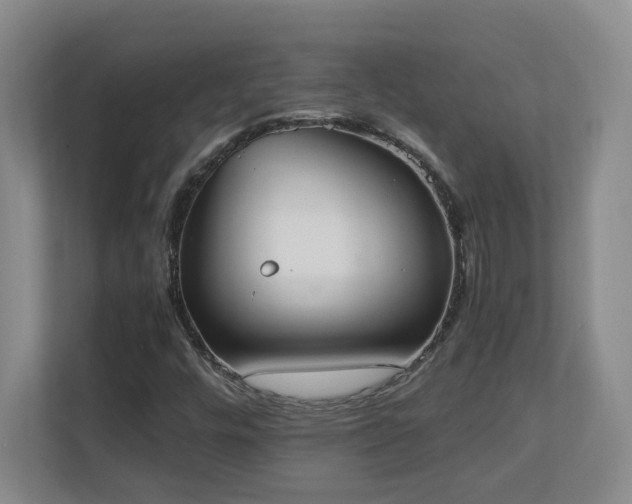 X0000111251448200907021422