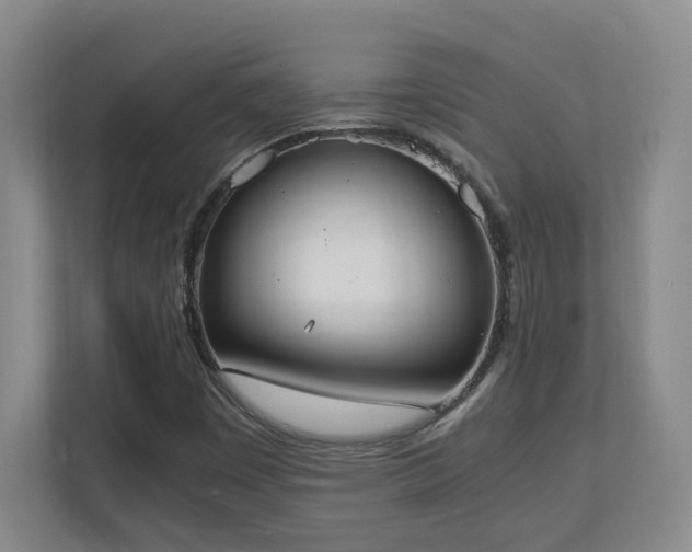 X0000111251449200907021422