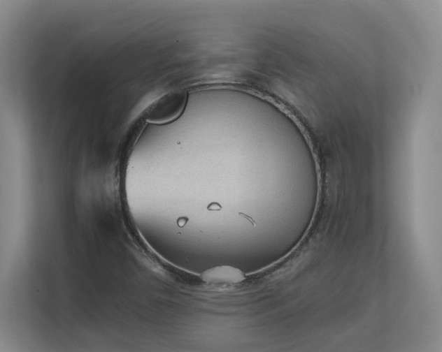 X0000111251450200907021422
