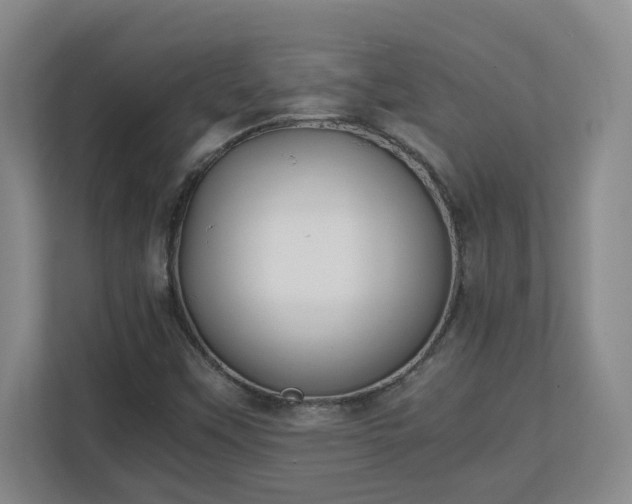 X0000111251451200907021422