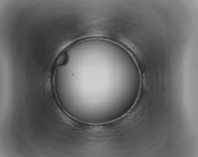X0000111251452200907021421