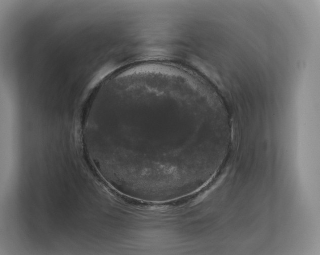 X0000111251453200907021421