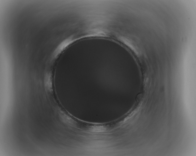 X0000111251455200907021421