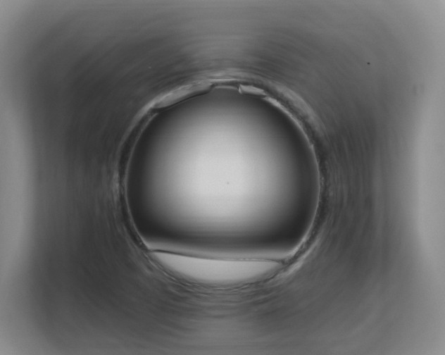 X0000111251457200907021421