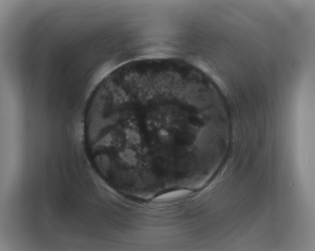 X0000111251459200907021421