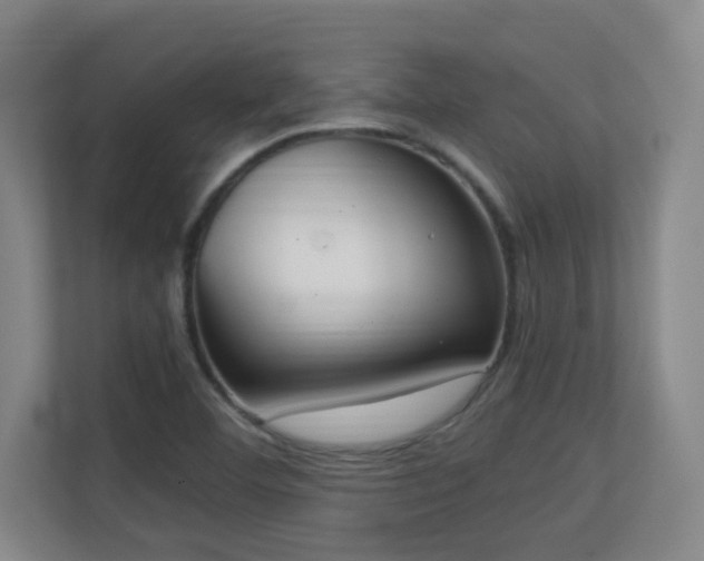 X0000111251460200907021421