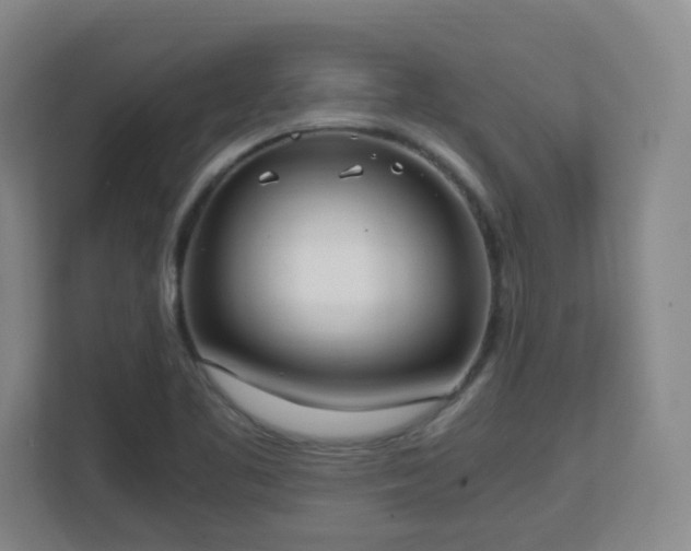 X0000111251461200907021421