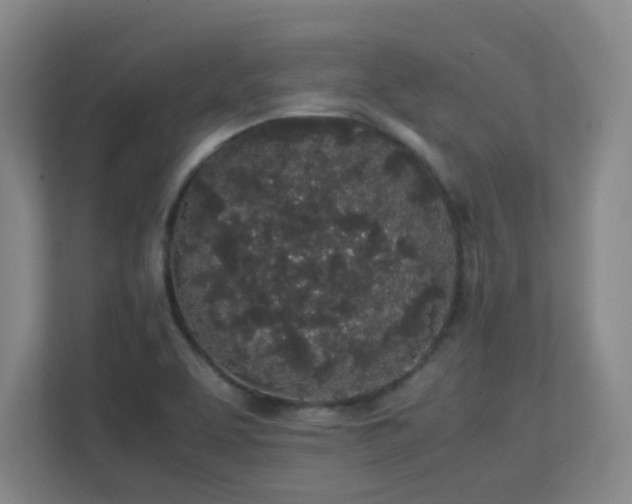 X0000111251463200907021421