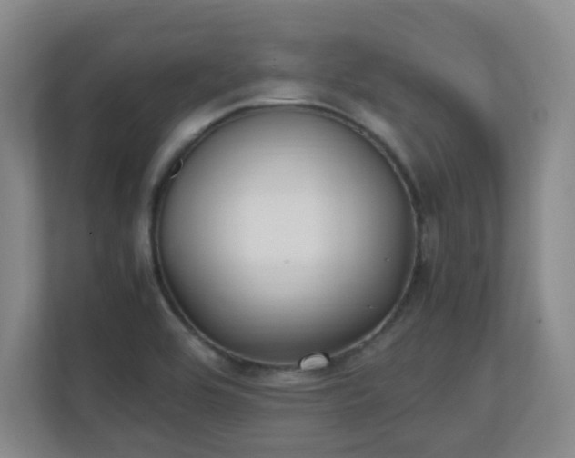 X0000111251464200907021421