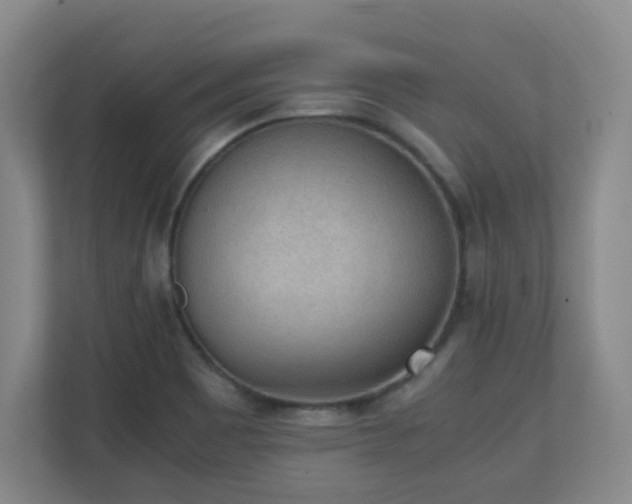 X0000111251465200907021421