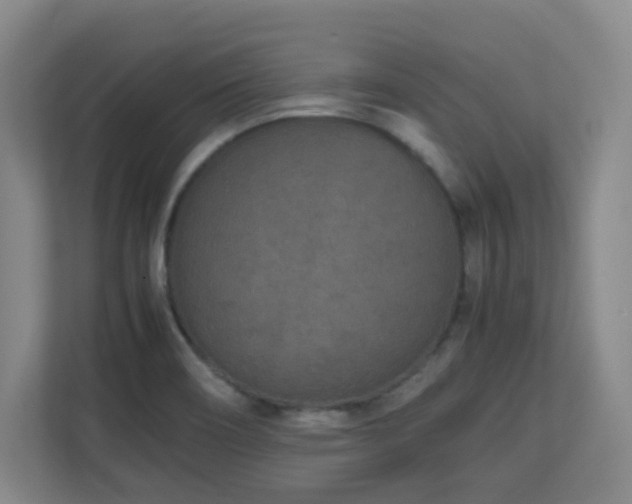 X0000111251466200907021421