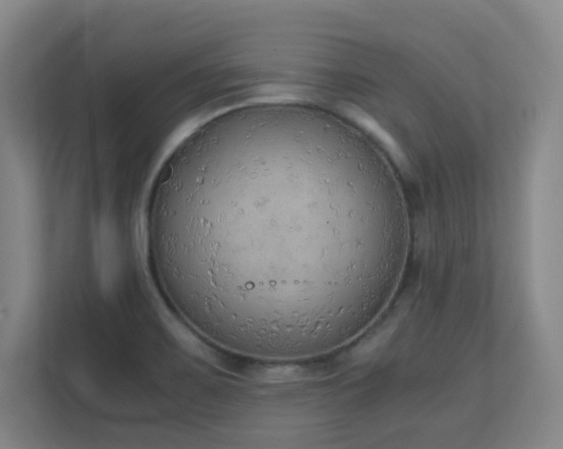 X0000111251467200907021421