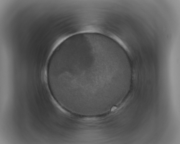 X0000111251468200907021421