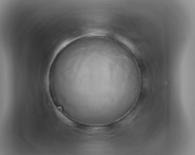 X0000111251471200907021421