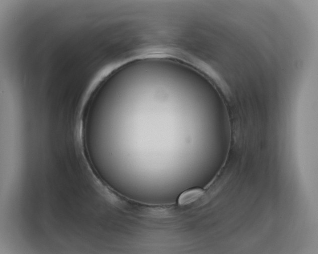 X0000111251472200907021421